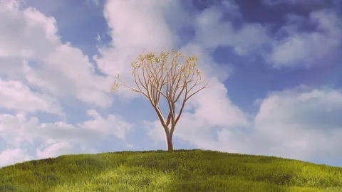 Growing tree time-lapse on green hill with blue sky and white clouds. Video stock 164730708