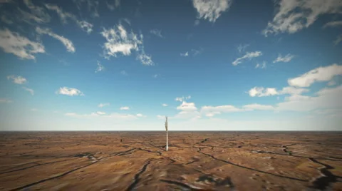 Growing tree timelaps Stock Footage 976164