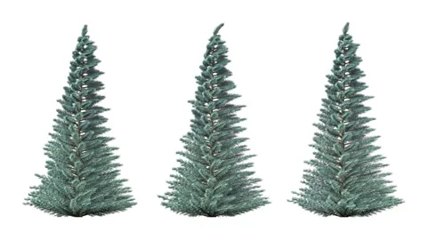 Growing trees on a white background 3D animation Stockbeeldmateriaal 149836190