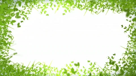 Growing twigs on the white background Stock Footage