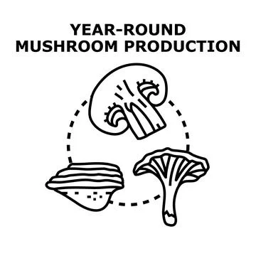 Growing various mushrooms indicating year round cultivation and supply Stock Illustration