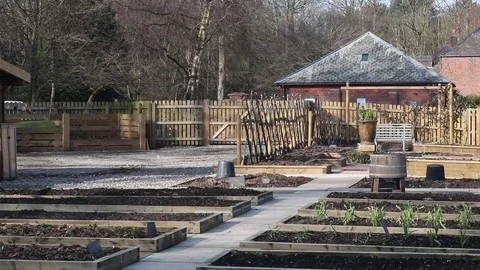 Growing vegetables Stock Footage 86288999