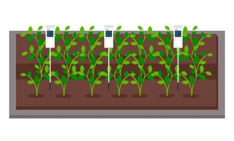 Growing vegetables, using solar energy. Box with green sprouts and soil analyzer Stock Illustration