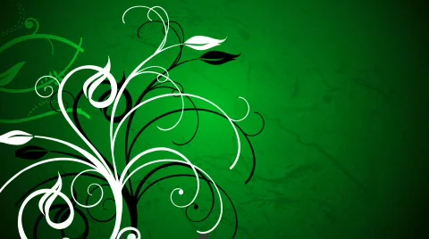 GROWING VINES 1 Stock Footage 459003