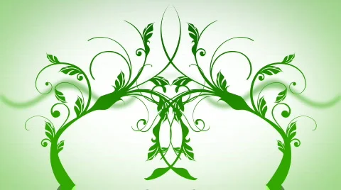 GROWING VINES 5 Stock Footage 458972