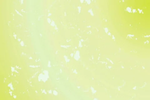 Growing Vines Stock Footage 296242