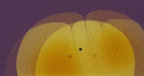 Growing Yellow Blob Video stock 228750422