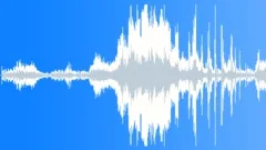Growling and mewing of a strongly embittered attacking Persian cat 1 Sound Effect