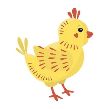 Grown chick, illustration Stock Illustration