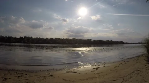 Grown dragonfly larvae crawling on the sand along the shore of the pond Stock Footage 51597871