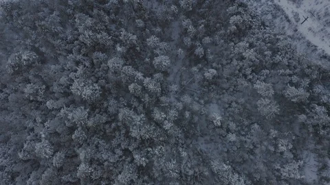 Grown in ski trails and defunct lift near the top of a snow crusted Video stock 122690914