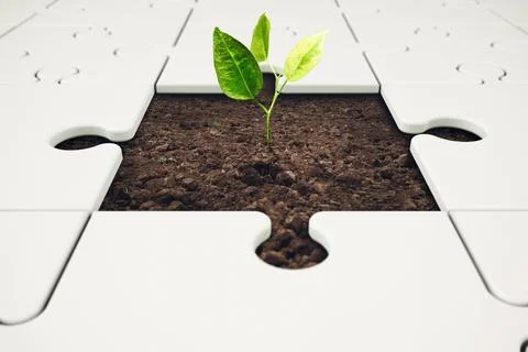 Growth and development through teamwork Stock Photos