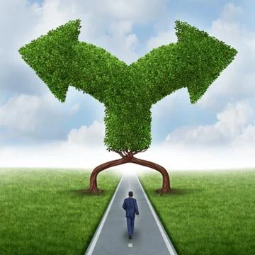 Growth direction choice Stock Illustration