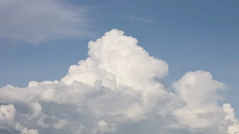 Growth​ up Stock Footage 161177084