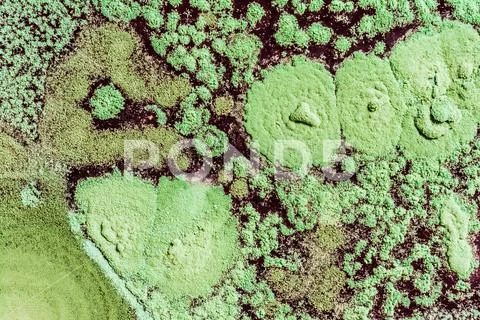 Growth of green mold on food, spread of fungi, close-up abstract background Stock Photos