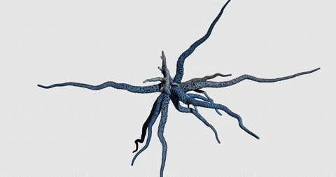 The growth of multicolored tentacles of a abstract creature Stock Footage 270436278