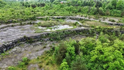 The Growth of Nature - Split Rock Quarry - Syracuse, NY Fotos Stock