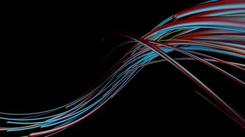 Growth optic cables  Stock Footage 55365502