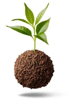 Growth Stock Photos
