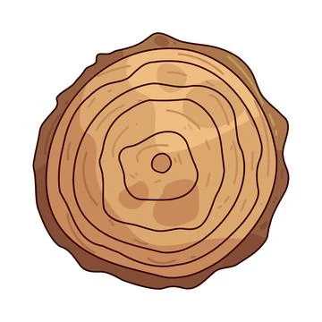 Growth ring illustration Stock Illustration