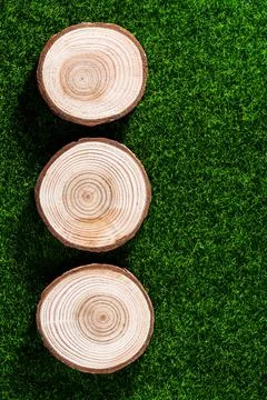 Growth ring Stock Photos