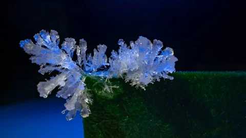 Growth of salt crystals on a black background time lapse Stock Footage 100988738