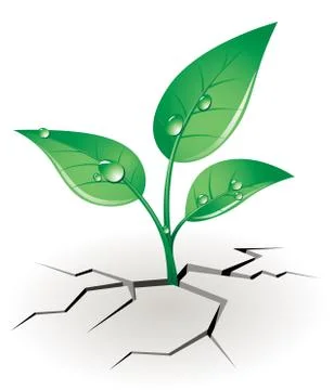 Growth sprout Stock Illustration