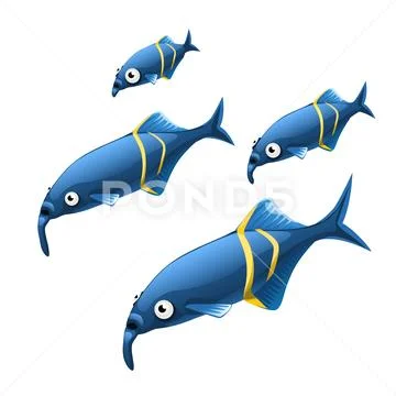 The growth stage of unusual Elephant nosed fish Gnathonemus petersi are isolated Stock Illustration