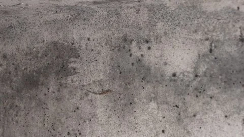 The growth of toxic black mold, damp walls. Violation of sanitary requirements Stock Footage 306824331