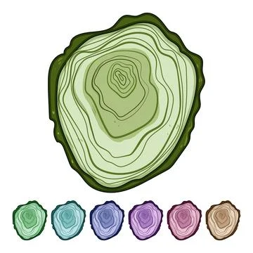 Growth tree rings cartoon vector graphic Stock Illustration