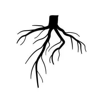 Growth tree root cartoon vector illustration Stock Illustration
