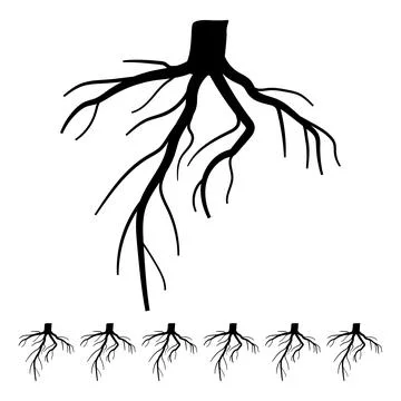 Growth tree root cartoon vector graphic Stock Illustration