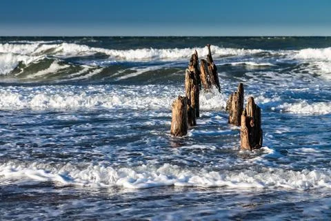 Groynes on shore Stock Photos