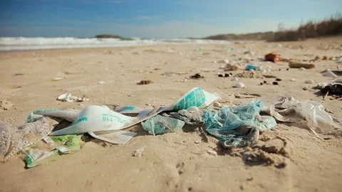 Grubby sandy sea shore full of plastic litter and shells on sunny day in spring Stock Footage 98582874