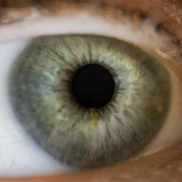  Gruenes Auge Makroaufnahme eines menschlichen Auges Copyright: xZoonar.co... Stock Photos