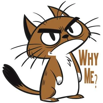 Grumpy cat cartoon illustration for t-shirt design Illustrazione stock