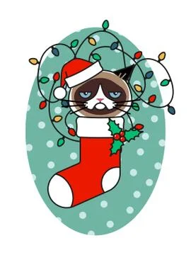 Grumpy cat in christmas hat in christmas sock Stock Illustration