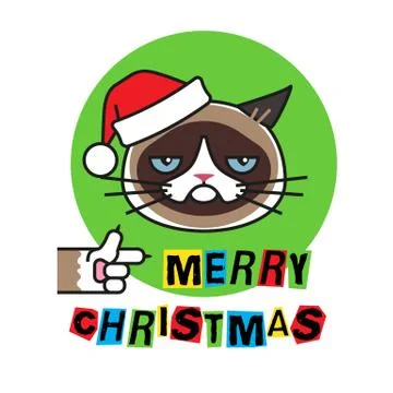 Grumpy cat in christmas hat. Merry christmas Stock Illustration