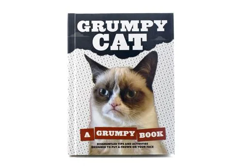 Grumpy Cat - A Grumpy Book. The Grumpy Cat Has Become An Internet Sensation And  Stock Photos