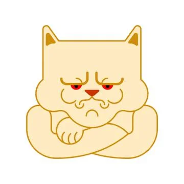 Grumpy cat isolated. Angry pet. Vector illustration Illustrazione stock