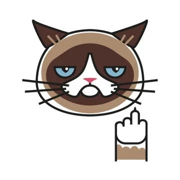 Grumpy cat making gesture with middle finger Stock Illustration