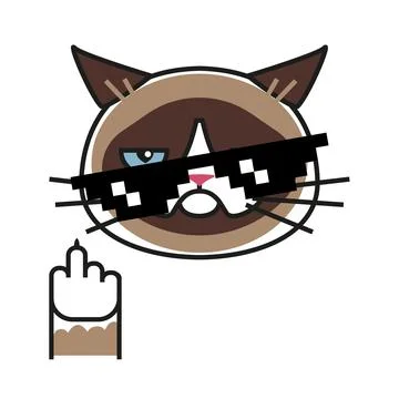 Grumpy cat making gesture with middle finger Stock Illustration