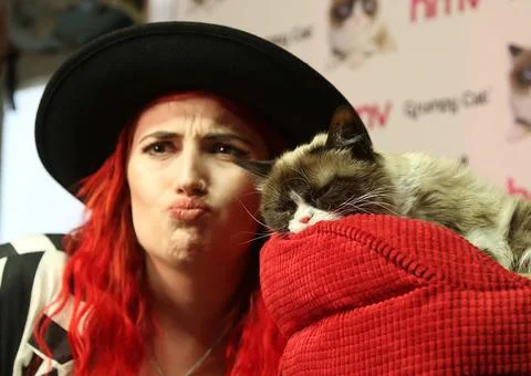 Grumpy Cat Meet And Greet Event At Hmv Oxford Street London. Stock Photos