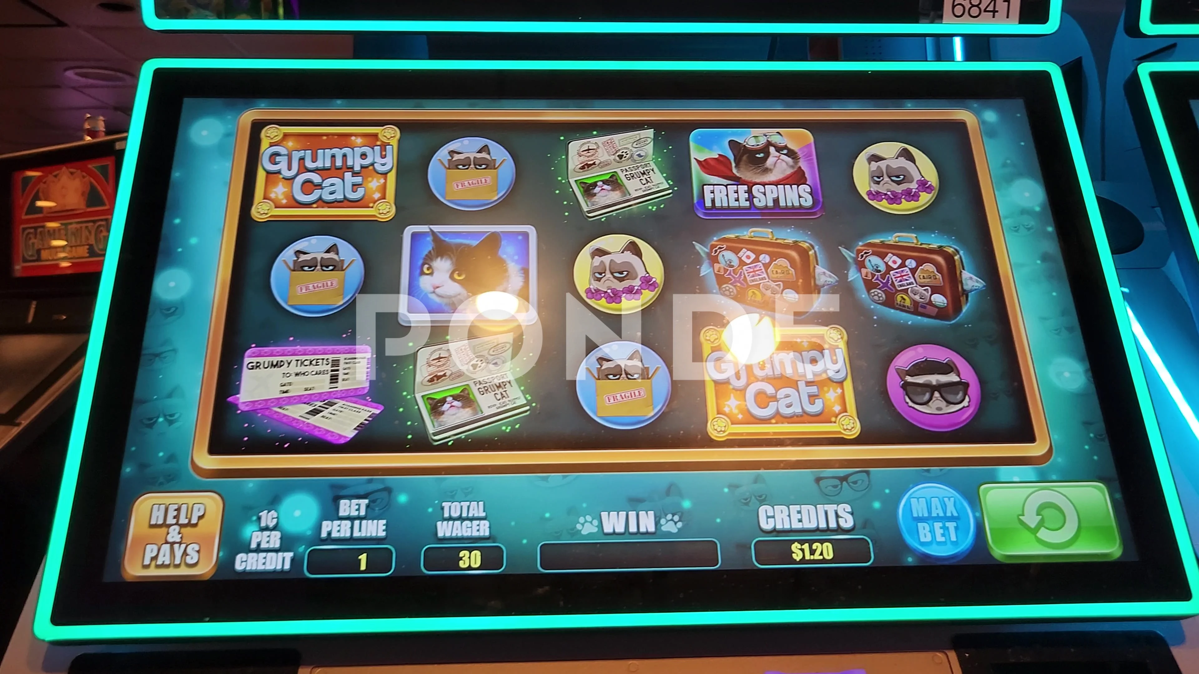 grumpy cat slot machine