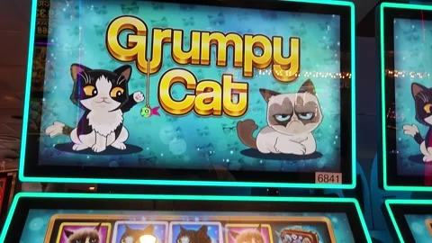 Grumpy Cat Slot Machine Casino Game Stock Footage 245025467
