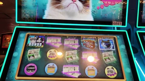 Grumpy Cat Slot Machine Casino Game Stock Footage 245025468