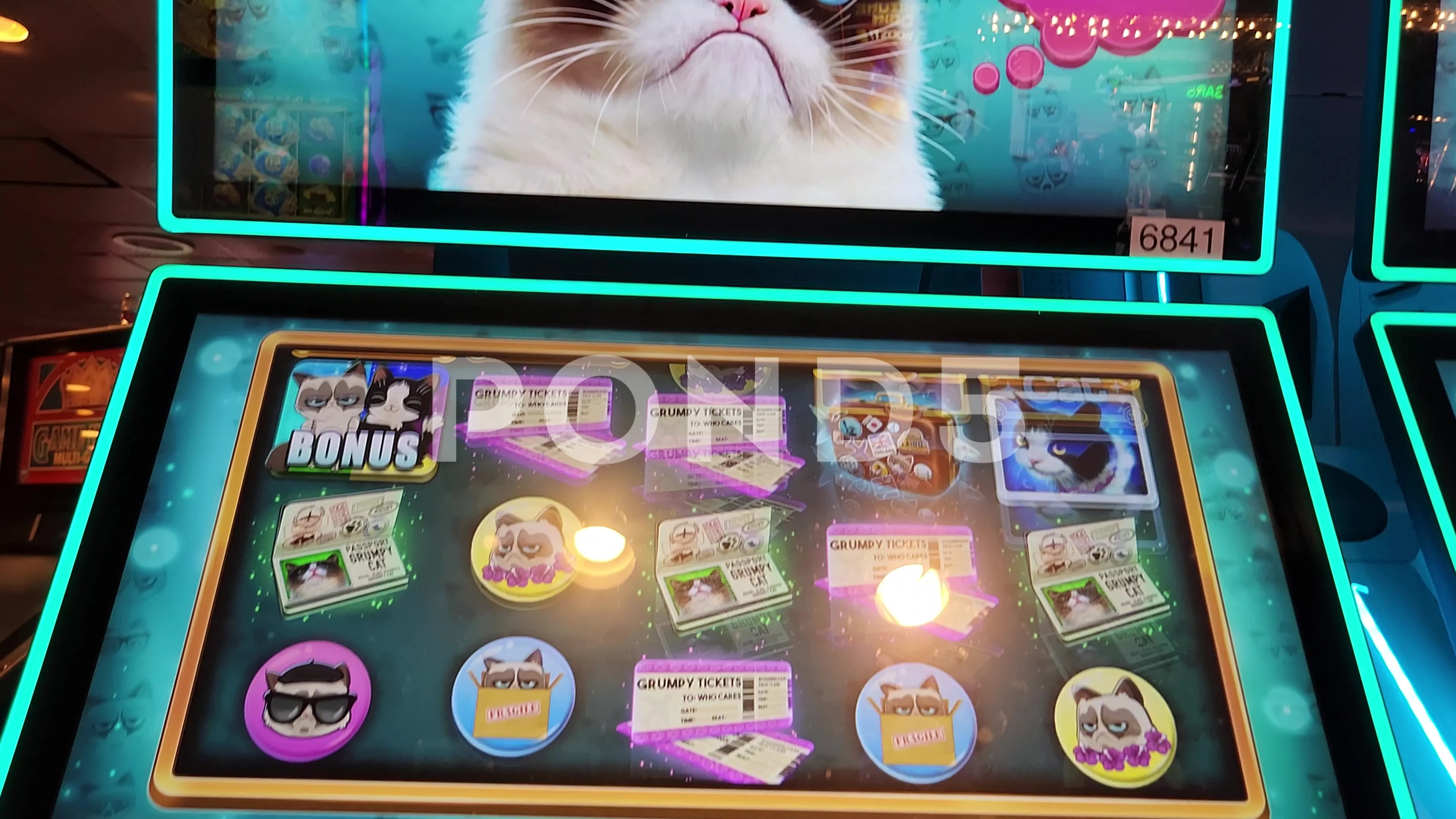 grumpy cat slot machine