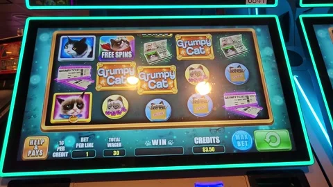 Grumpy Cat Slot Machine Casino Game Stock Footage 245025469