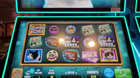 Grumpy Cat Slot Machine Casino Game Stock Footage 245025474