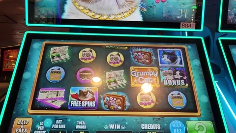 Grumpy Cat Slot Machine Casino Game Stock Footage 245025478